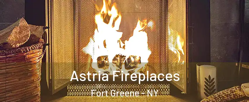 Astria Fireplaces Fort Greene - NY