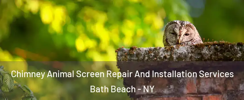 Chimney Animal Screen Repair And Installation Services Bath Beach - NY