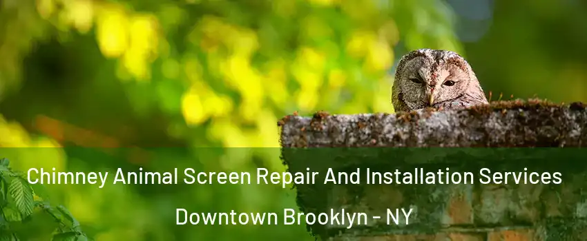 Chimney Animal Screen Repair And Installation Services Downtown Brooklyn - NY