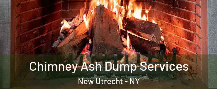 Chimney Ash Dump Services New Utrecht - NY