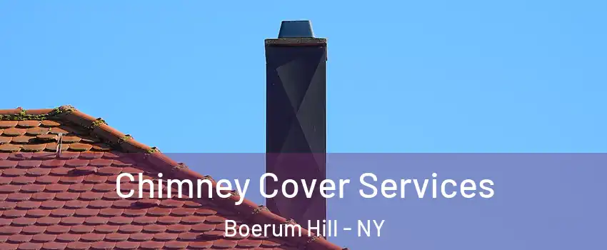Chimney Cover Services Boerum Hill - NY