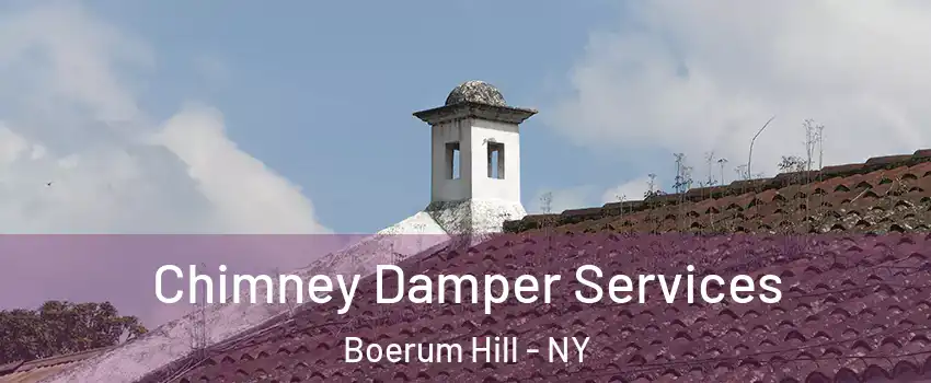 Chimney Damper Services Boerum Hill - NY