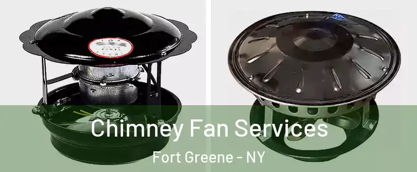 Chimney Fan Services Fort Greene - NY