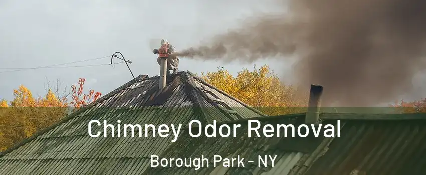 Chimney Odor Removal Borough Park - NY
