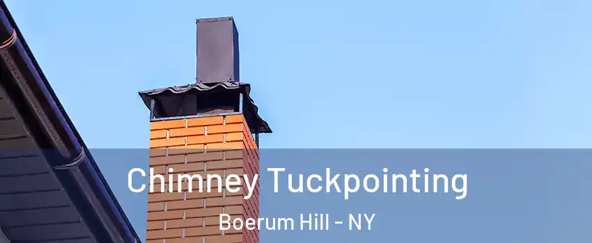 Chimney Tuckpointing Boerum Hill - NY