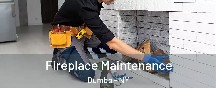 Fireplace Maintenance Dumbo - NY