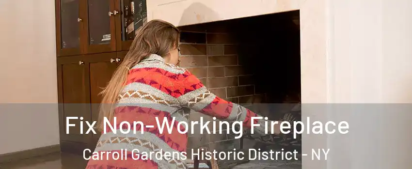 Fix Non-Working Fireplace Carroll Gardens Historic District - NY