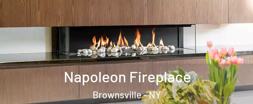 Napoleon Fireplace Brownsville - NY