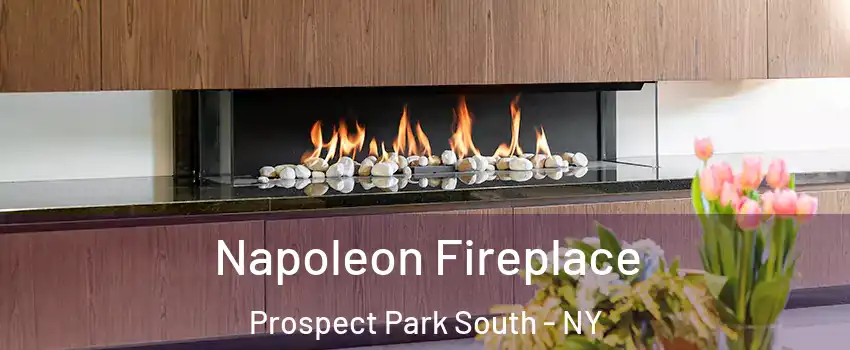 Napoleon Fireplace Prospect Park South - NY