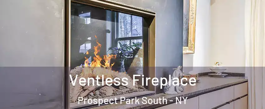 Ventless Fireplace Prospect Park South - NY